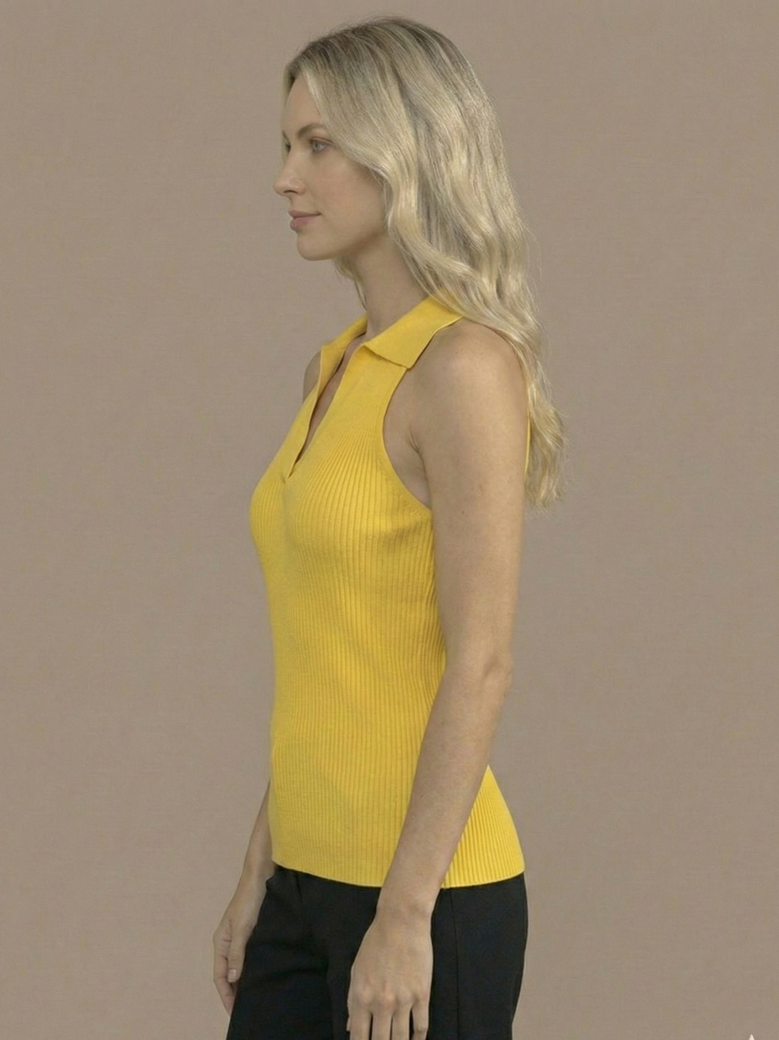Stella V-Neck Ribbed Top